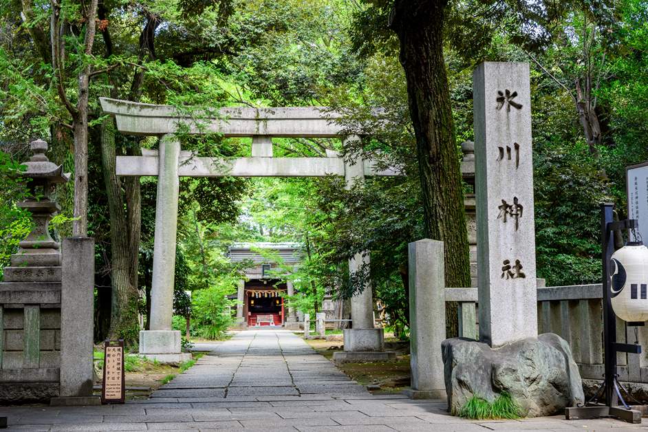 赤坂氷川神社と地域の絆とは？宮神輿や江戸型山車が巡行する「赤坂氷川祭」に込められた願い